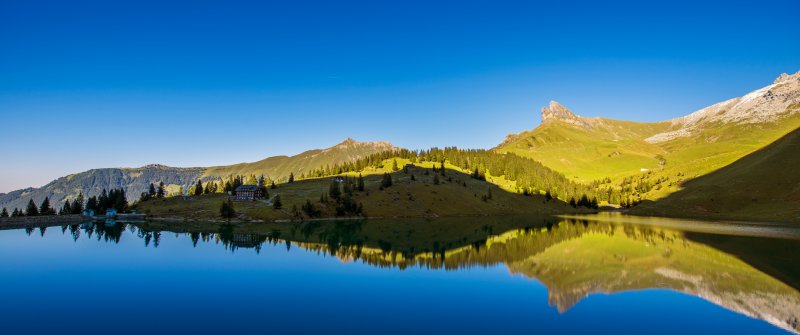 Природа панорама высокого разрешения