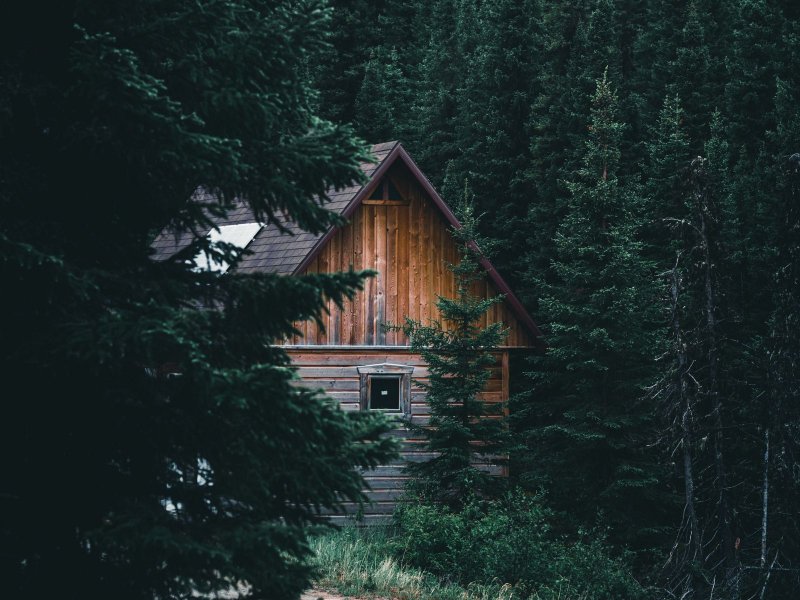 Forest House Хижина в лесу