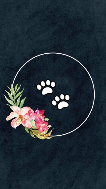 Обложки для инстаграмма в актуальное