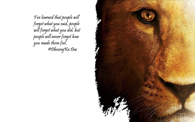 Мудрые цитаты на рабочий стол