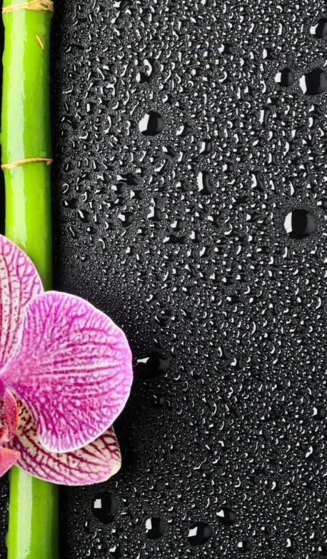 Фотообои для телефона оригинальные