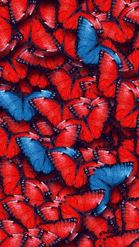 Обои с бабочками