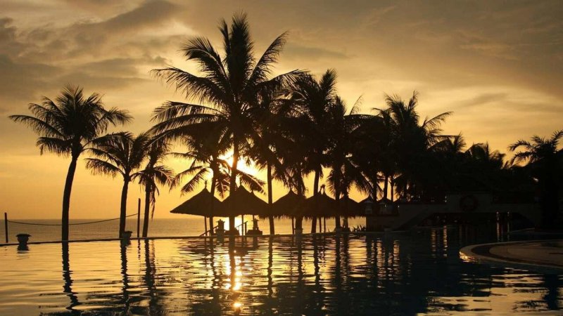 Пляж с пальмами