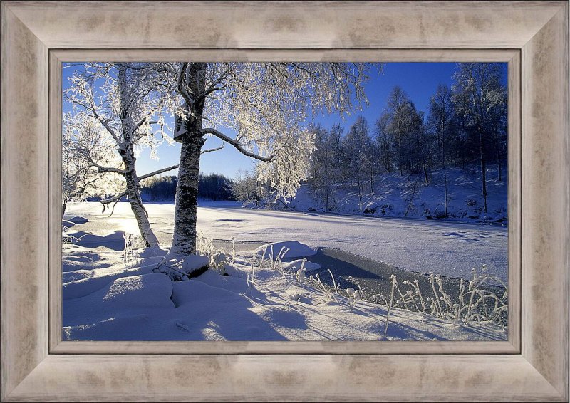 Пейзаж зимнего леса