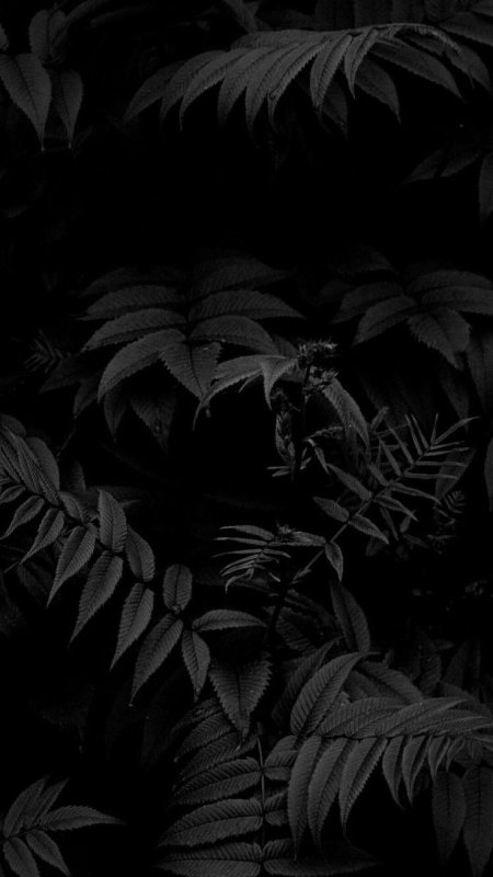 Темная заставка на телефон