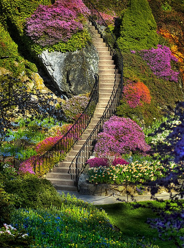 Сад Кавати Фудзи Япония