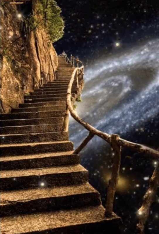 Лестница жизни