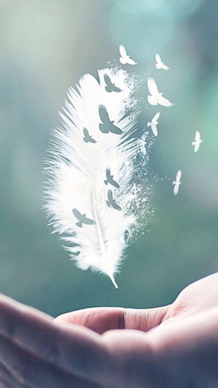 Перья в воздухе