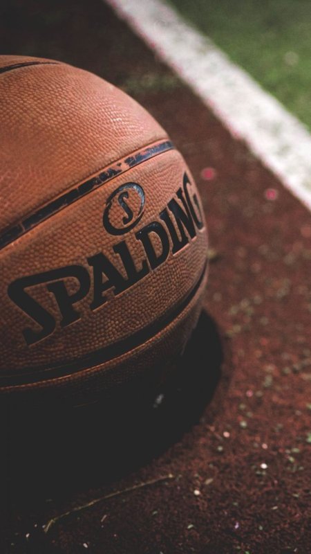 Баскетбольный мяч Spalding Raptors