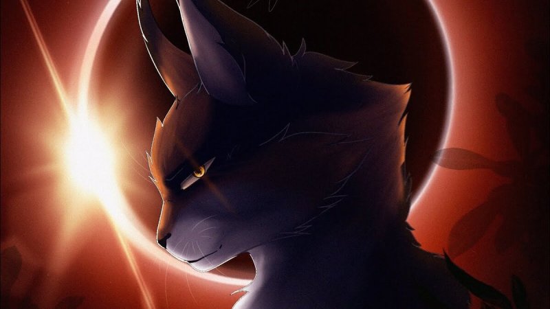 Коты Воители сол