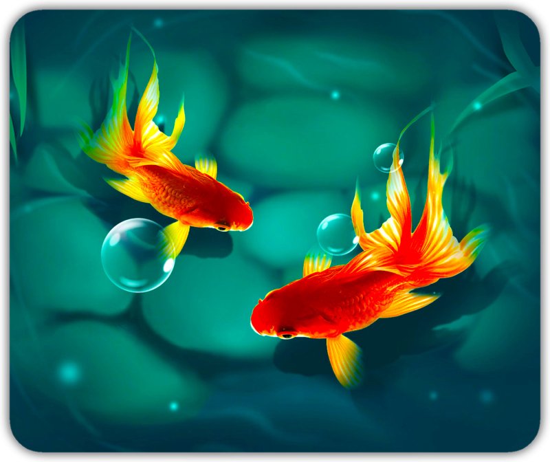 Заставки аквариумные рыбки