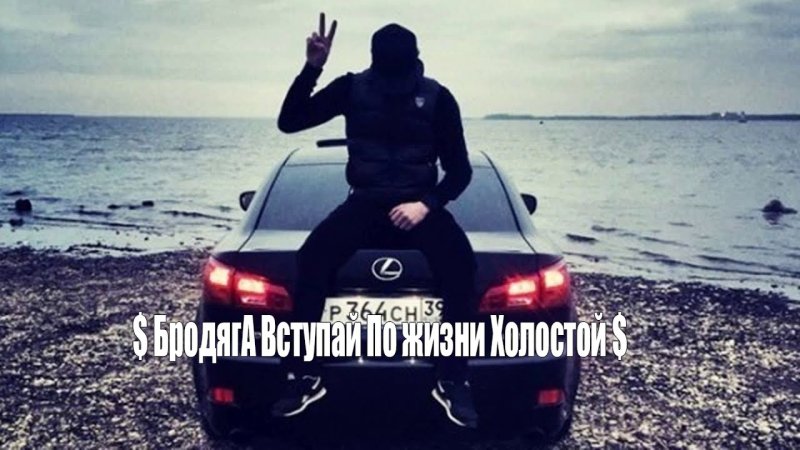 Бродяга картинки