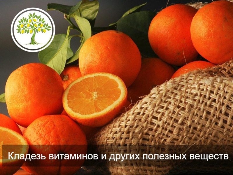 Сочный апельсин