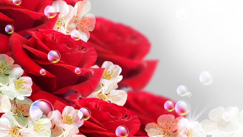 С днём рождения цветы красивые