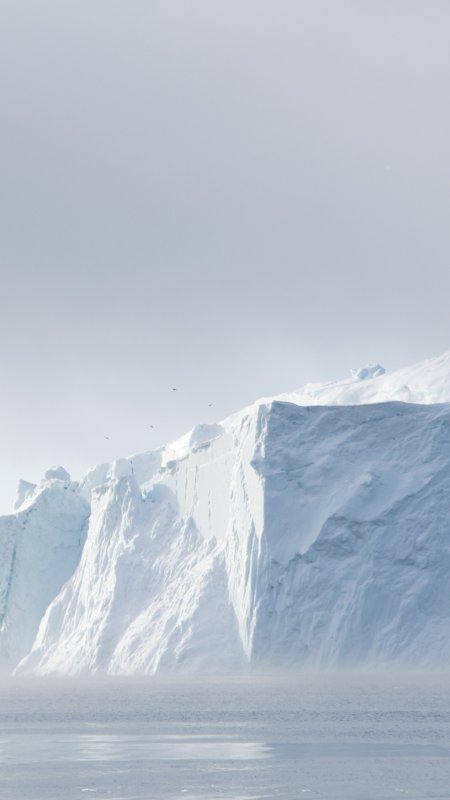 Морские ледники