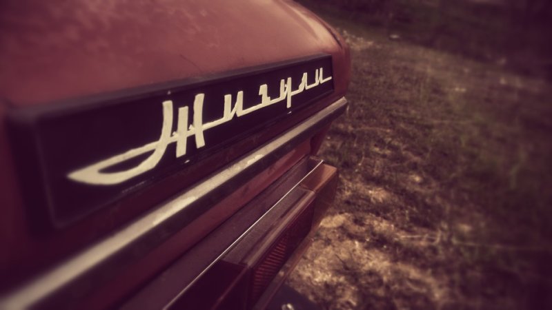 На заставку бродягам