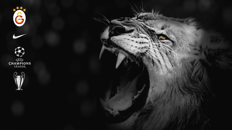 Звериный оскал