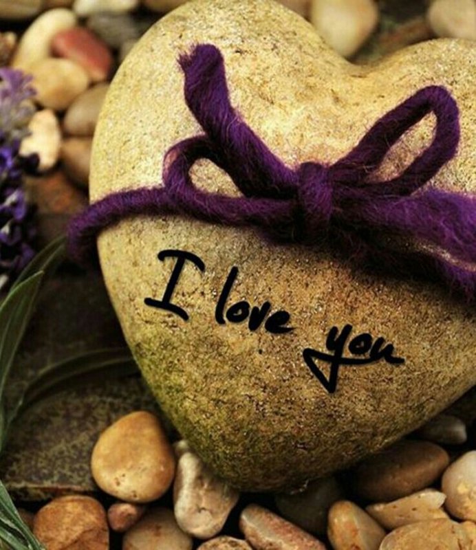 Цветы на камнях