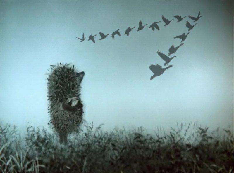 «Ёжик в тумане» Юрия Норштейна