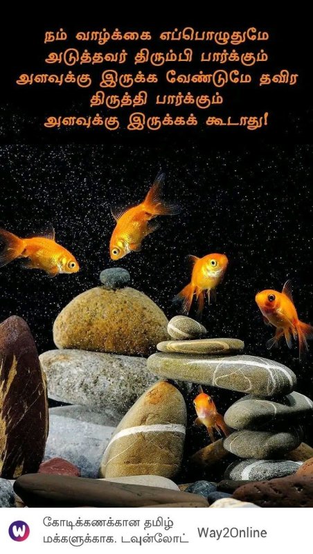 Рыбки для аквариума