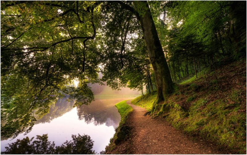 Шикарная природа