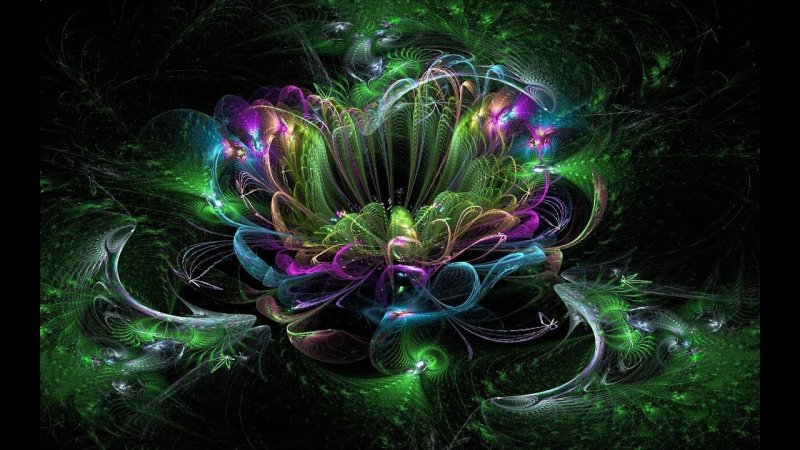 Магические цветы