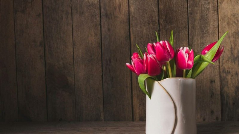 Цветы тюльпаны