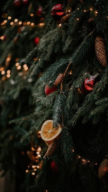 Новый год елка