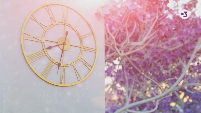 Знаки судьбы на тв3 Александра Никифорова