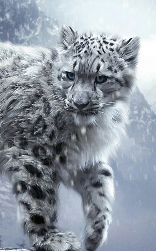 Красивые животные