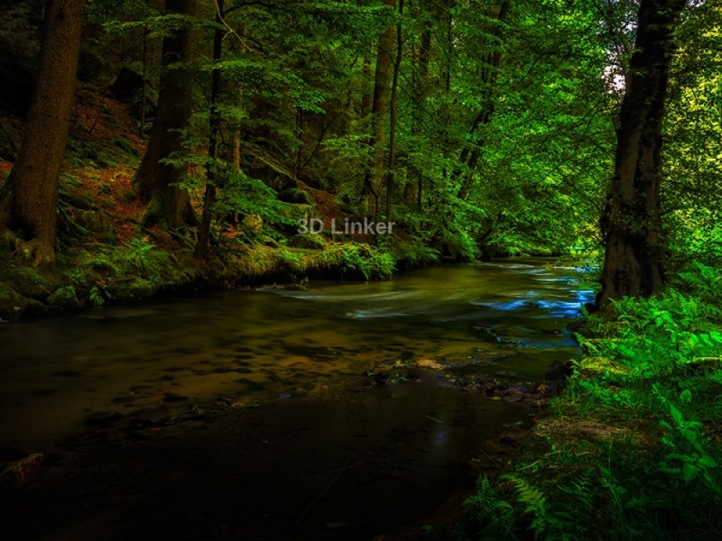 Река у леса