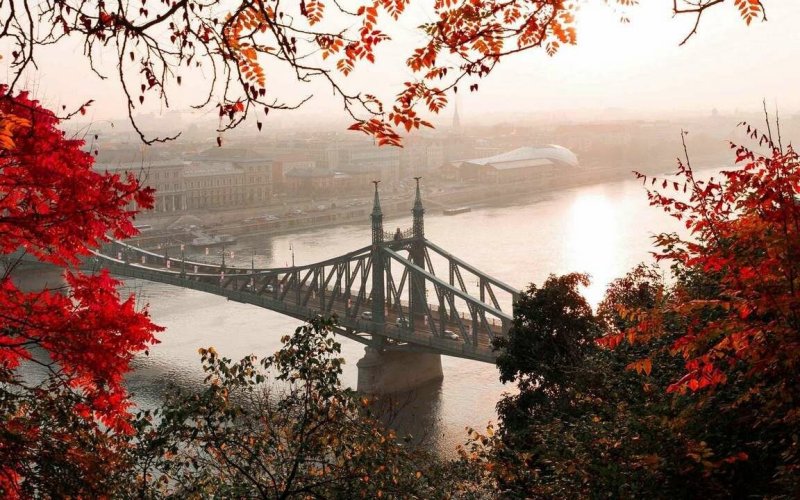 Будапешт. Мост свободы