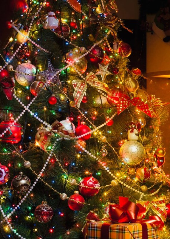 Красивая елочка