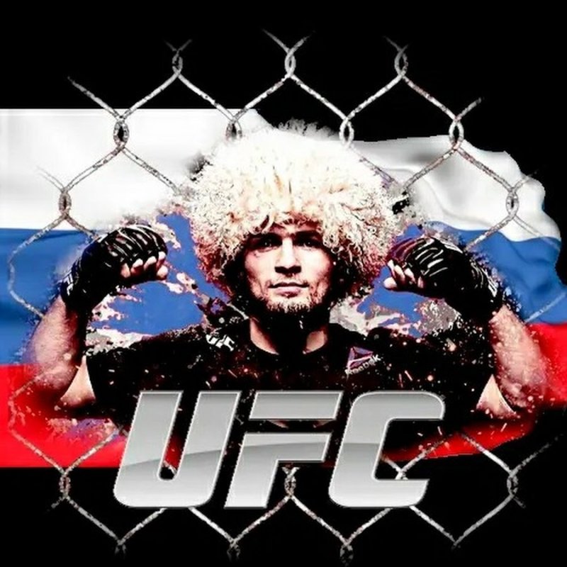 Хабиб на аву