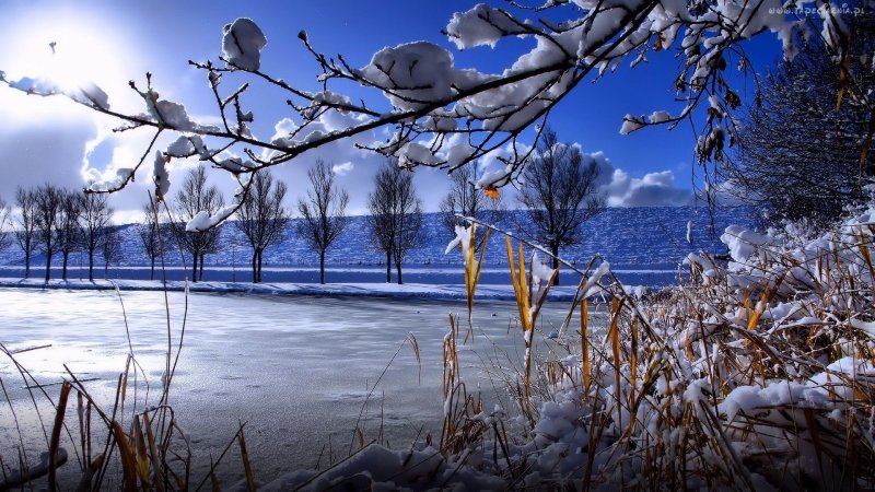 Ранняя Весна