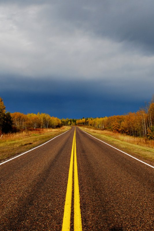 Дорога в даль