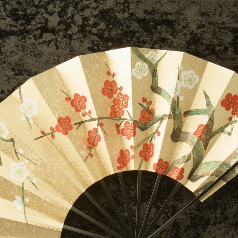 Раскрытый веер