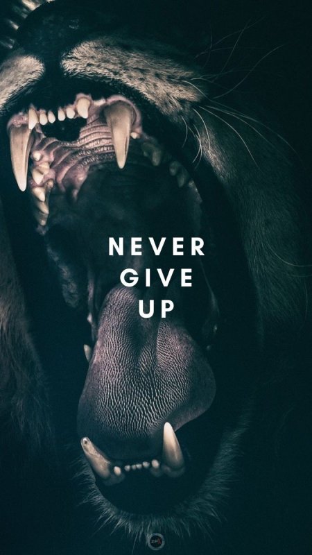 Открытая пасть