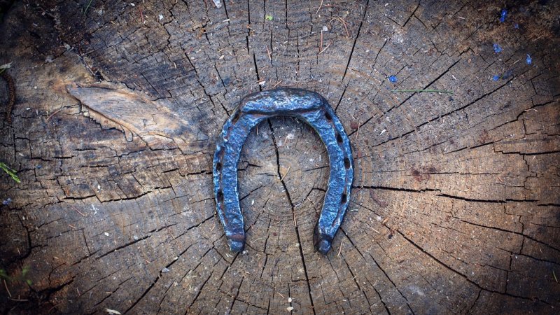 Огромная подкова