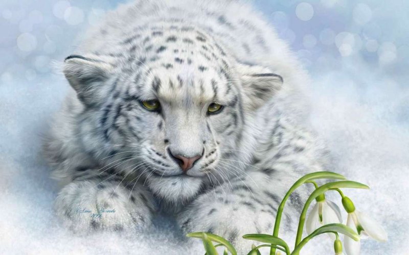 Снежный Барс арт