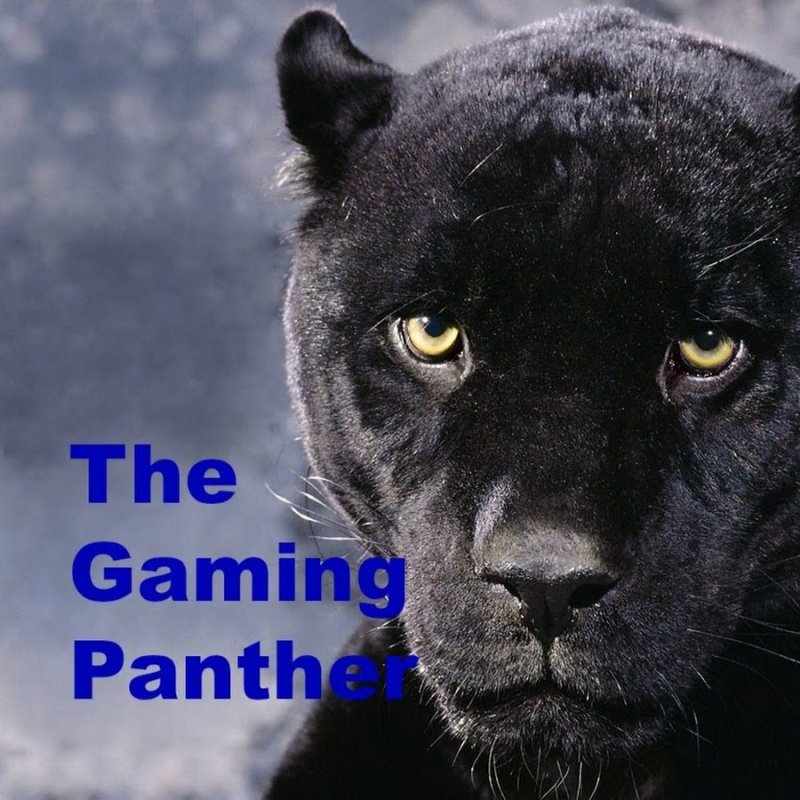 Пума и пантера