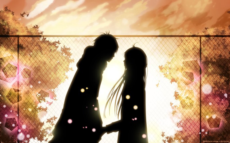 Kimi ni Todoke, 2010