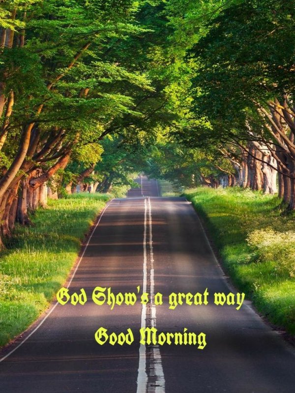 Природа дорога