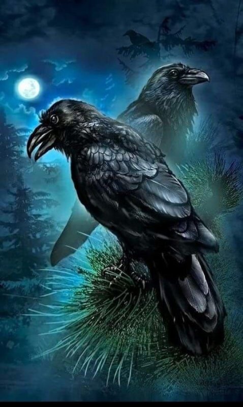 Хугин и Мунин арт