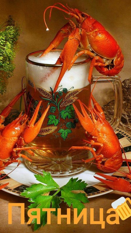 Стол с креветками и пивом