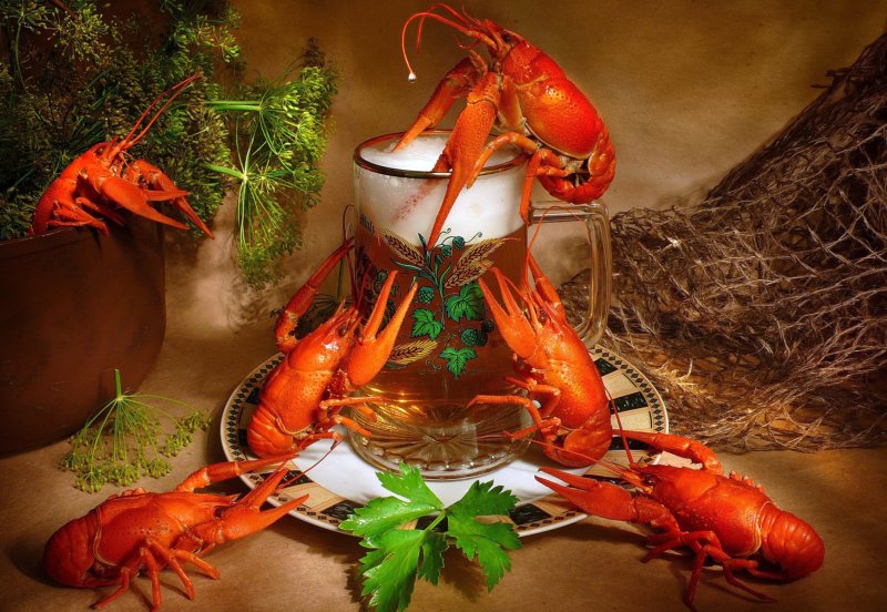 Пиво с креветками