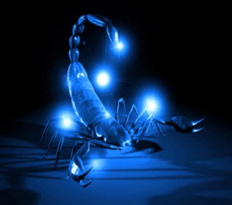 Неоновый Скорпион