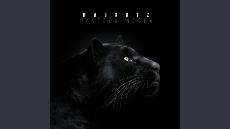 Пантера морда