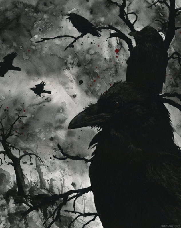 "мрачный ворон"