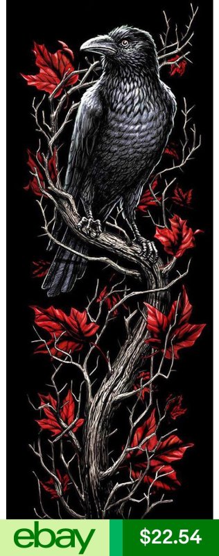 Тату с вороном